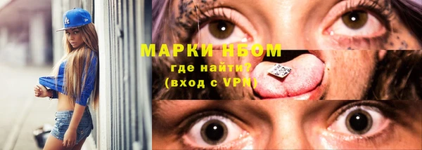 амф Аркадак