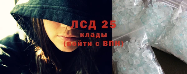 индика Арсеньев