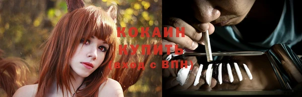 индика Арсеньев