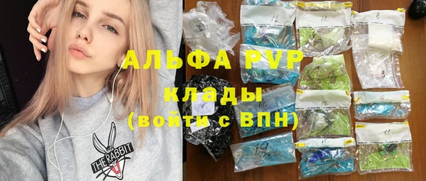 индика Арсеньев
