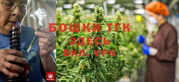 амф Аркадак