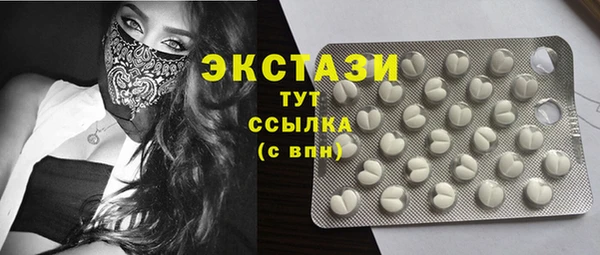 индика Арсеньев