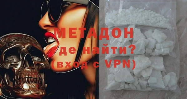 индика Арсеньев