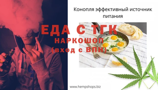 индика Арсеньев