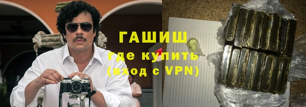 индика Арсеньев